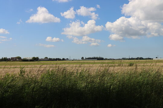 Cumulus clouds in blue sky in the Zuidplaspolder