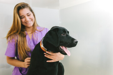 Happy nurse caring a dog in the vet clinic