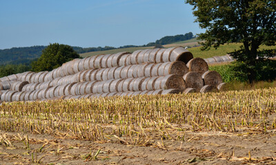 Bale słomy © zibi