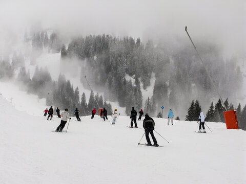 Skiers skiing towards a clouded forest. There are snow guns on the right side