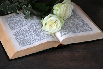 Bibel mit Rosen