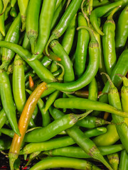 Green chilli pepper (Latin Cаpsicum annuum) lies in a heap for sale in a supermarket.