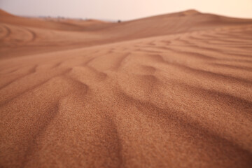 desert photography in dubai