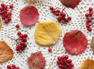 background with autumn aspen leaves and viburnum berries, top view.