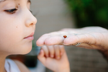 Kid watching a ladybug