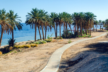 A path on an abandoned waterfront in a resort in Egypt