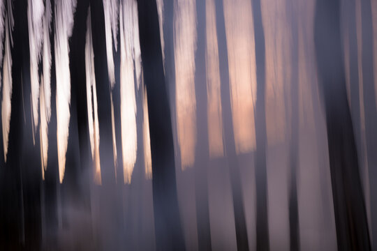 blurred image during sunset in a forest fire