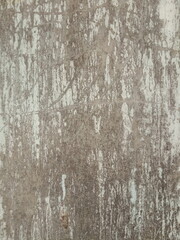 Grunge metal texture and surface	
