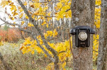 old broken phone on the autumn street