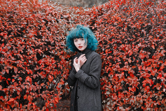 Cute girl with blue hair in grey coat posing in front of red bushes