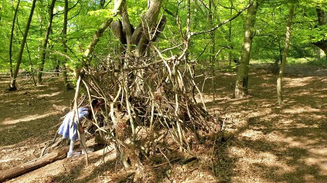 Little girl playing in the wickup, the hut made of tree brunches in Epping Forest, Loughton, London