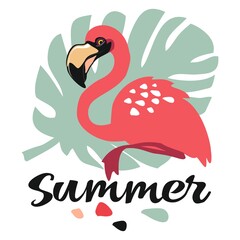Summer Flamingo and a tropical monstera leaf - vector illustration isolated on a white background.