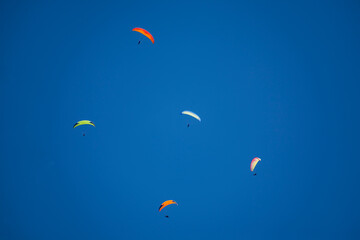 Sportsmen paragliding high in the blue clear sky