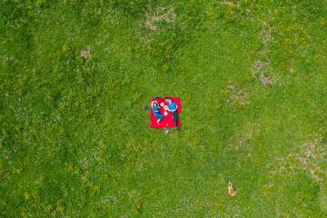 aerial shot of a couple having a picnic on green grass