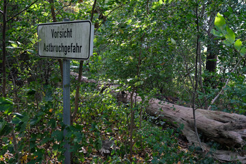 Waldgebiet mit Schild Vorsicht Astbruchgefahr - Stockfoto