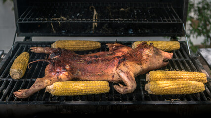 BBQ whole grilled pig in garden house. Home cooking of crispy roasted pork Spain
