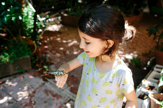 Kid looking at butterfly on her hand.