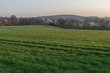 summer landscape in bavaria