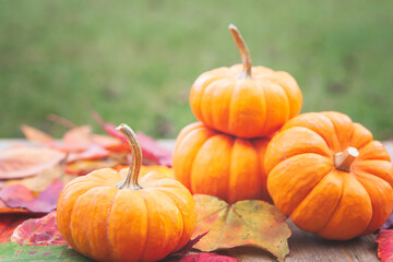 Autumn Pumpkin and Leaves Background