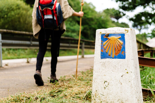 Back view of cropped lonely unrecognizable hiker with backpack and trekking stick walking on path near signpost with scallop shell symbol of Camino de Santiago in Spain