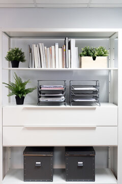 Various books and office paper trays with documents arranged on shelves with green potted plants and archive boxes in contemporary light workspace