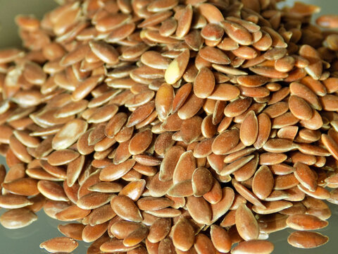 Beautiful flax seed from close up