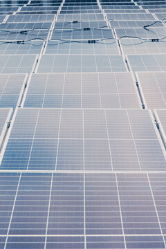 Contemporary solar batteries installed in rows in industrial area of modern plant during daytime