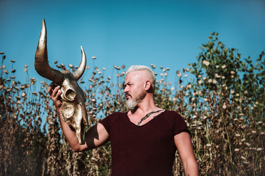 Serious muscular bearded gray haired male with tattoo holding horn animal skull while standing against tall grass and blue sky in nature