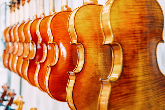 Contemporary shiny violins hanging on wall in row in bright musical instrument shop