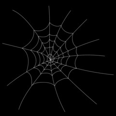 Active linear web for Halloween design black