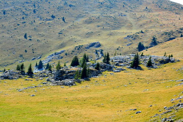 Typical landcsape in the mountains and forests of Transylvania. Bucegi Massif, Carpathian Mountains, Romania