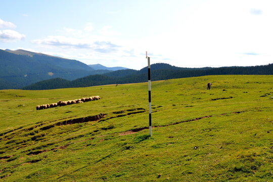 Typical landcsape in the mountains and forests of Transylvania. Bucegi Massif, Carpathian Mountains, Romania