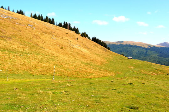 Typical landcsape in the mountains and forests of Transylvania. Bucegi Massif, Carpathian Mountains, Romania