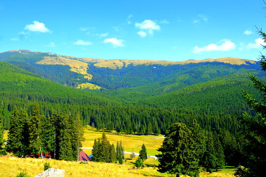 Typical landcsape in the mountains and forests of Transylvania. Bucegi Massif, Carpathian Mountains, Romania