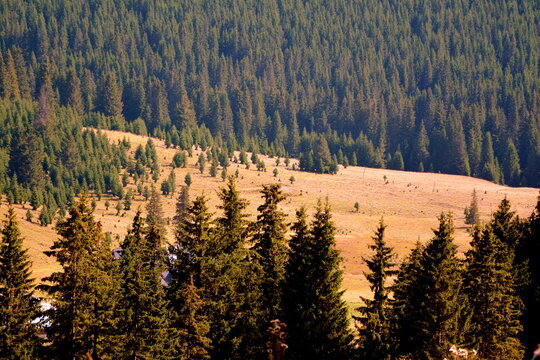 Typical landcsape in the mountains and forests of Transylvania. Bucegi Massif, Carpathian Mountains, Romania