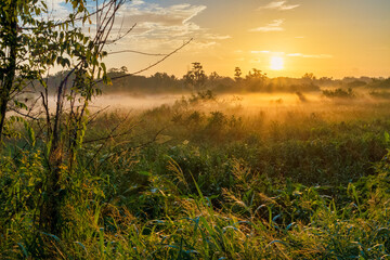 Sunrise landscape at Circle-B-Bar Reserve near Lakeland, Florida.