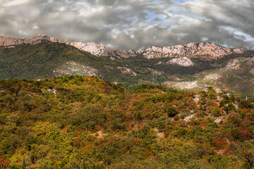 Fototapeta premium Landscape of the Crimean mountains, covered with approaching thunderclouds,covered with forest and shrubs
