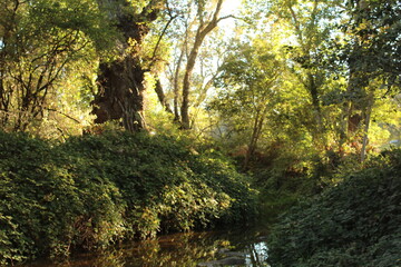 Landscape Photography