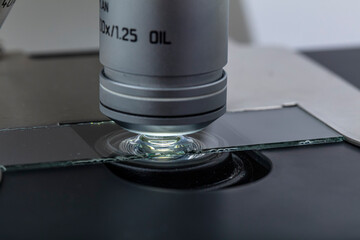 Distribution of immersion oil under light microscope objective lens. Oil immersion is a technique...