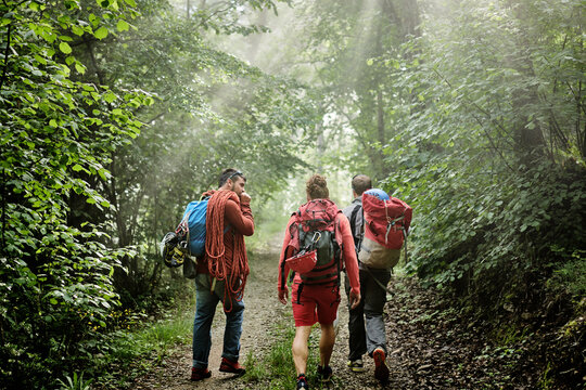 Rear view of mountaineers with backpack and climbing equipment walking on path