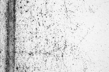gray concrete texture. background with copy space