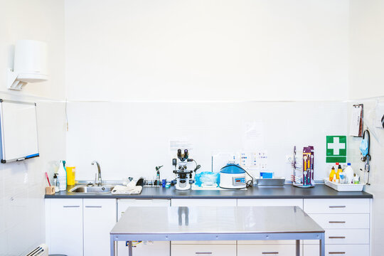 Clean table located near cupboards with medical equipment inside office of contemporary veterinary clinic