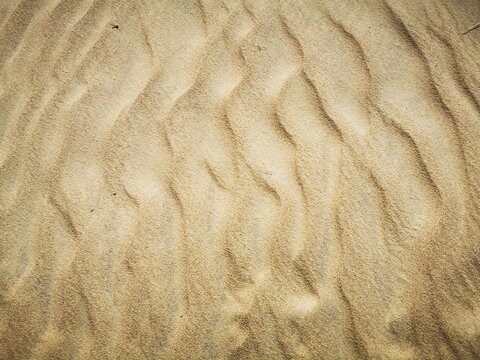Natural desert sand wind blown terrain background