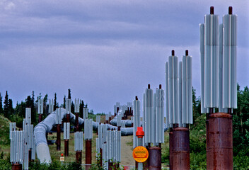 Cooling fins keep permafrost intact on “Alaska Pipeline”. Hot oil in pipes would otherwise heat...
