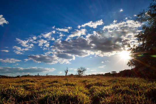 Sunset Cerrado at Uberaba Minas Gerais Brazil