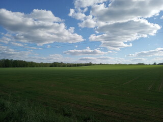 field and blue sky