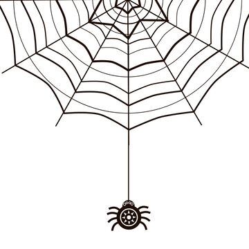 Spider linear web vector blank; black spider descends from the web, an image on the theme of Helloween, a card with a web for the holiday, a template for creativity, printing, advertising.