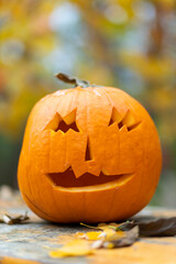 halloween pumpkin, autumn still life