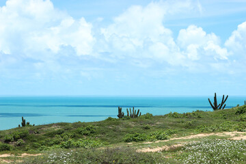 Meadow and blue sea landscape