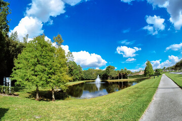 Summer tree, pond and white cloud in Florida